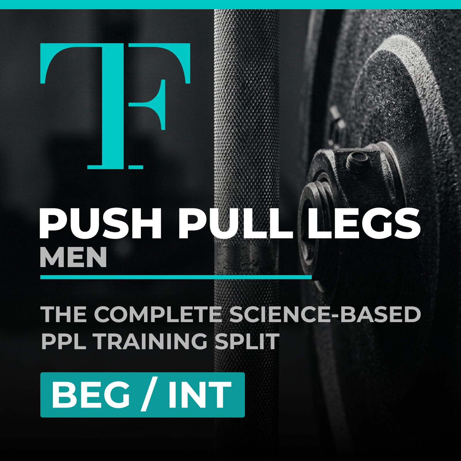 Push Pull Legs Beginner & Intermediate Split Men