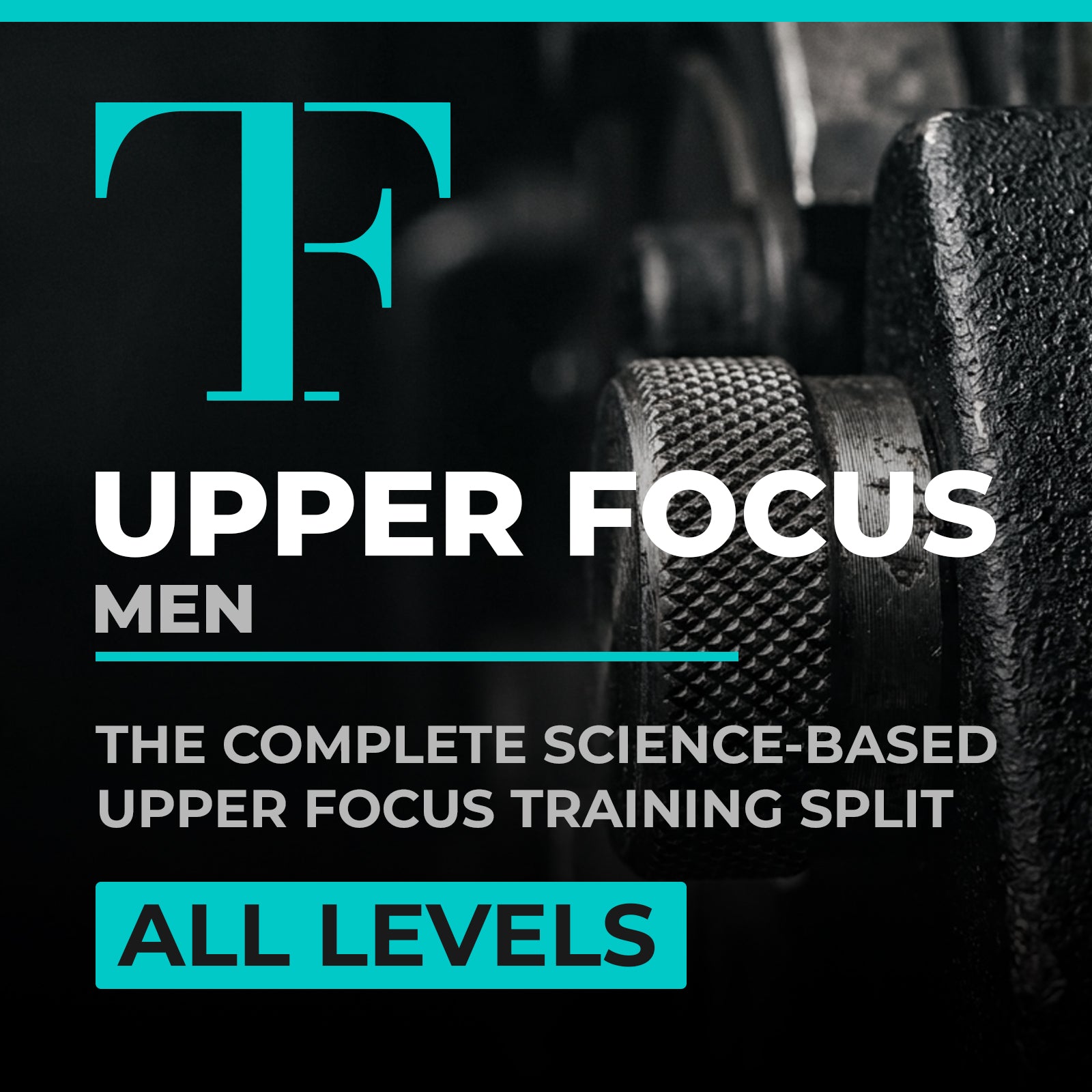 Upper Focused All Levels Split Men